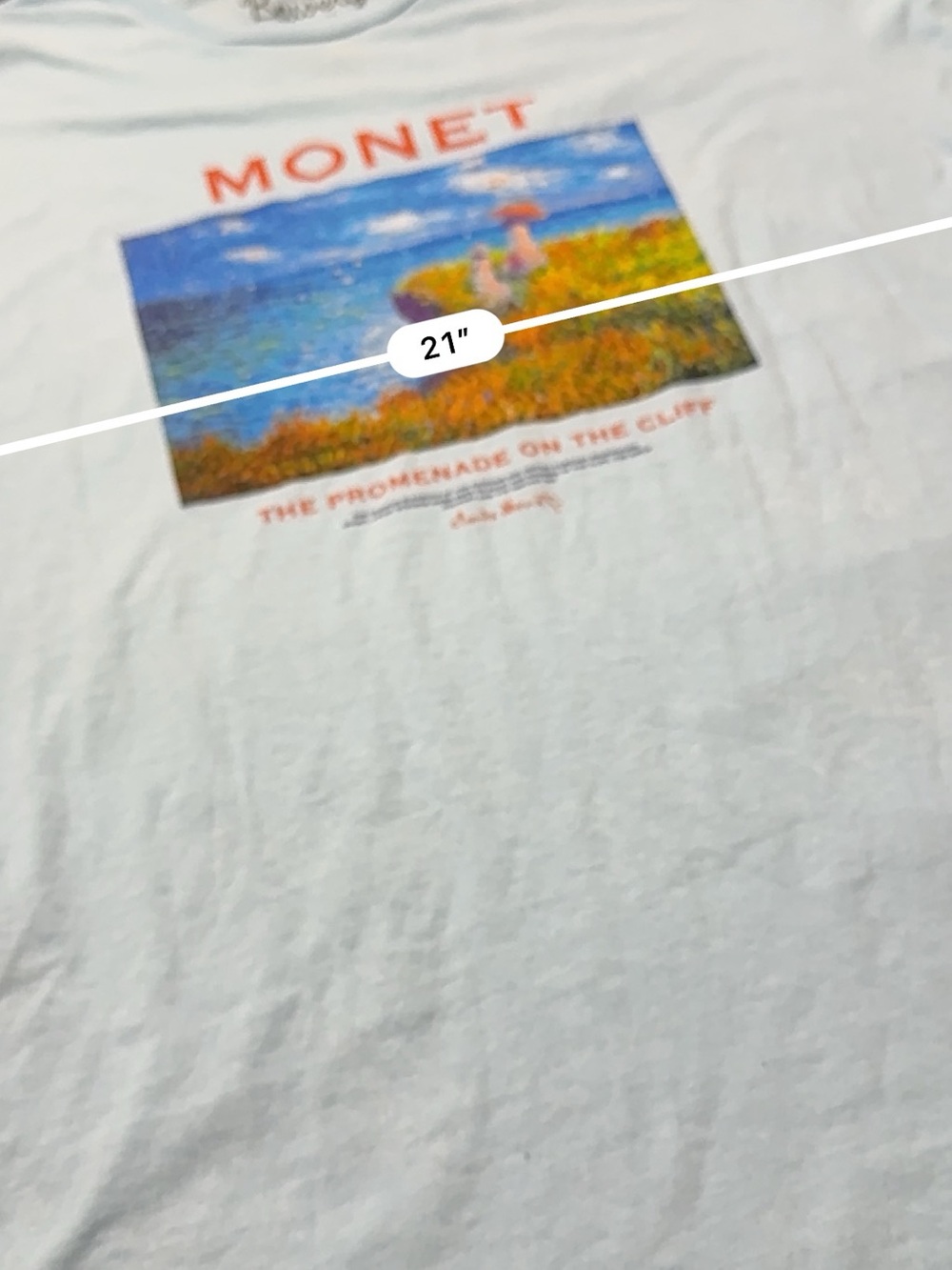 Bowery Supply Co XL Monet Promenade on the Cliff Graphic Tee NWT - Picture 4 of 7